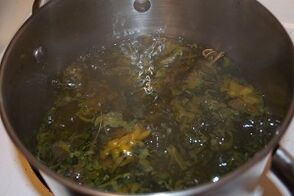 Pagtambal sa mga varicose veins nga adunay mga decoction